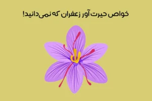 خواص زعفران: 29 خاصیت شگفت انگیز زعفران بر سلامتی + منع مصرف