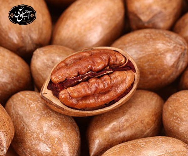 معرفی پکان