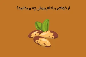 خواص بادام برزیلی: معرفی 12 خاصیت فوق العاده بادام برزیلی + عکس