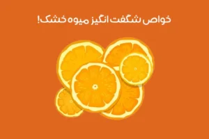 خواص میوه خشک: 19 فایده بی نظیر میوه خشک که نمی دانید!