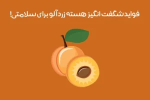 خواص هسته زردآلو: معرفی فواید شگفت انگیز هسته زردآلو
