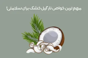 خواص نارگیل خشک: مهم ترین فواید نارگیل خشک + مضرات