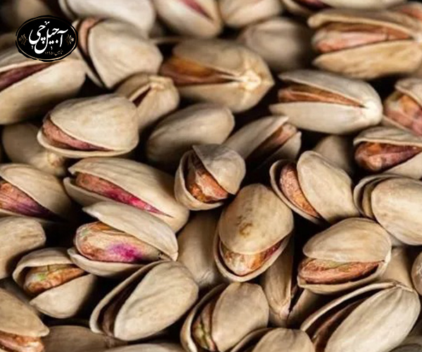 معرفی پسته اکبری