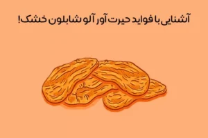 خواص آلو شابلون خشک: 13 فایده بی‌نظیر آلو شابلون خشک بر سلامتی!