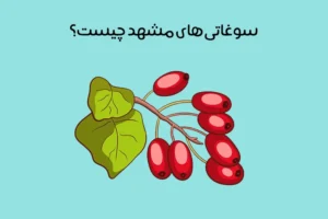سوغات شهر مشهد: معرفی 14 از بهترین سوغات مشهد + عکس