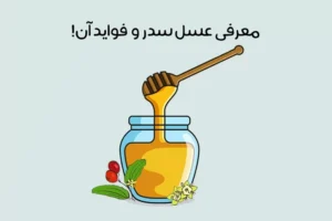 عسل کنار چیست: 20 خاصیت بی نظیر عسل سدر بر سلامتی+ روش تشخیص!