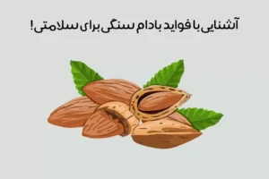 خواص بادام سنگی: فواید شگفت انگیز بادام سنگی بر پوست تا قلب + عکس