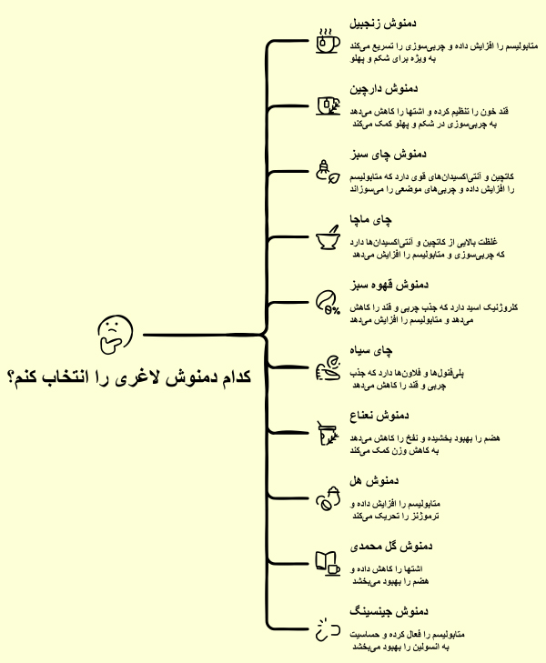 کدام دمنوش لاغری را انتخاب کنم؟