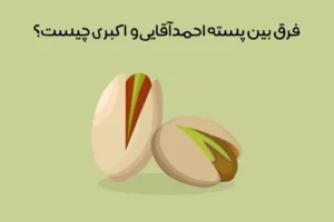 difference-between-akbari-and-ahmad-aghaei-pistachio-.jpg