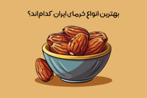 انواع خرما: معرفی 50 خرما خوشمزه و پرخاصیت + عکس!