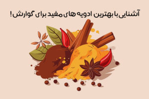 ادویه هضم غذا: معرفی 12 ادویه مفید برای گوارش + هضم بهتر!