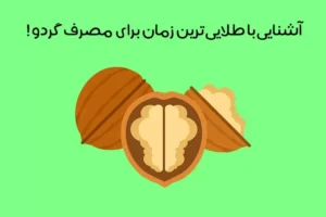 بهترین زمان مصرف گردو: بایدها و نبایدها + میزان و نحوه مصرف