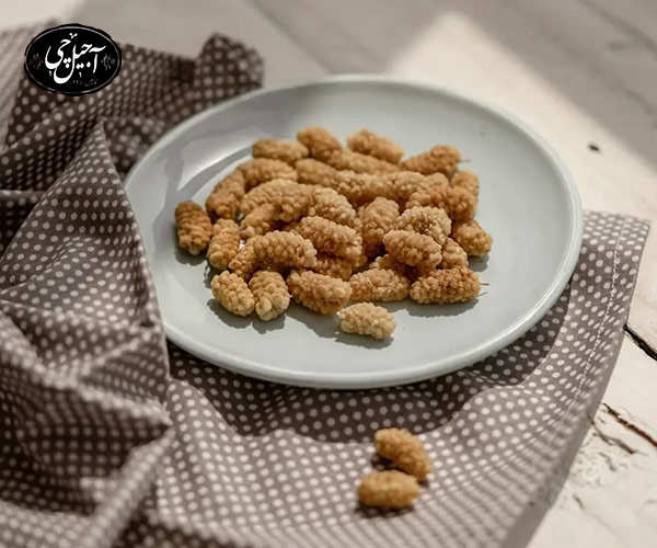 خواص توت خشک برای برای سلامت سیستم گوارش کودکان