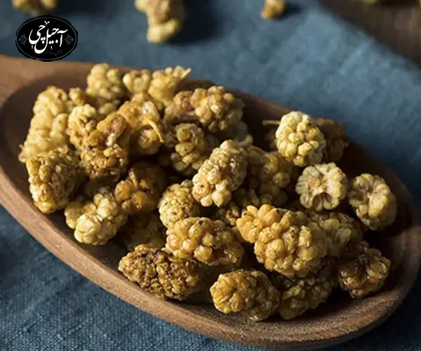 خواص توت خشک برای تامین انرژی بدن کودکان