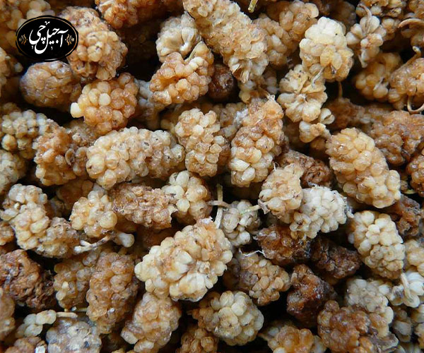 عوارض مصرف توت خشک برای کودکان