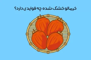 خواص خرمالو خشک: 16 خاصیت بی‌نظیر بر سلامتی زنان و مردان!