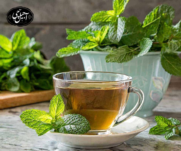 خواص دمنوش نعنا برای دوران قاعدگی