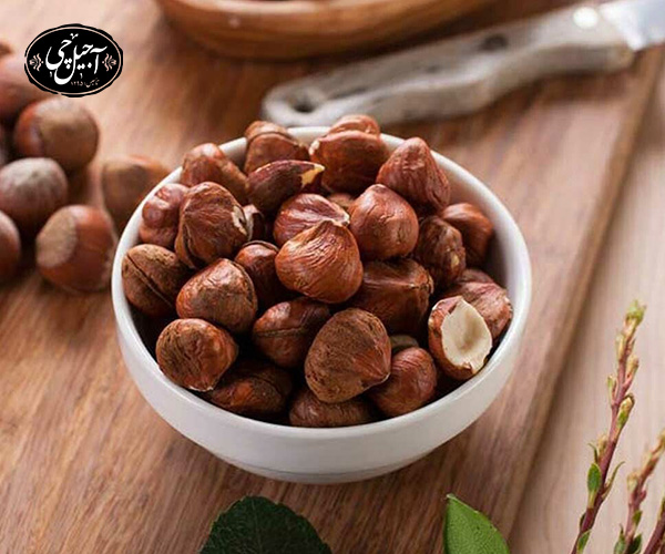 انواع مختلف فندق در جهان
