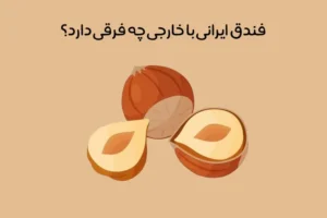 تفاوت فندق ایرانی با خارجی: مقایسه + معرفی بهترین ها!