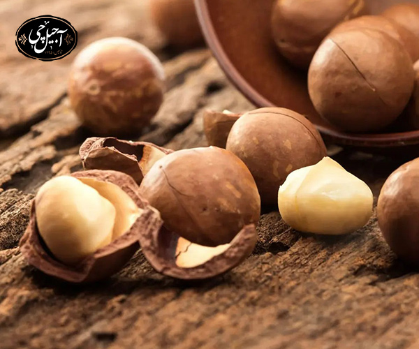 فواید مصرف منظم ماکادمیا