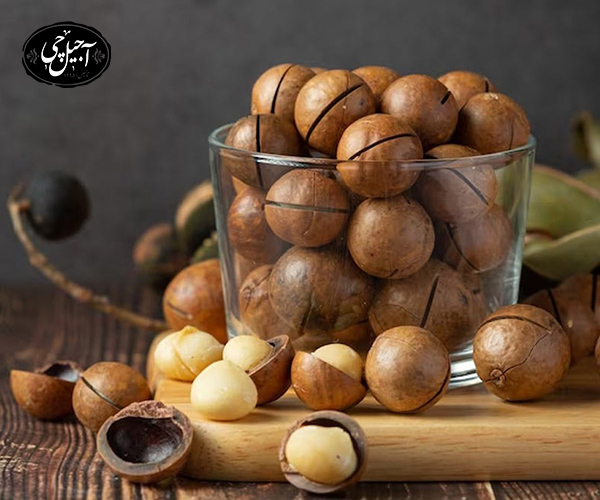 مزایا مصرف منظم ماکادمیا برای مردان