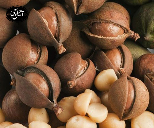 معرفی ضرر های ماکادمیا