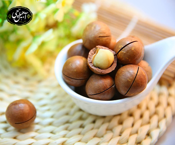 خواص ماکادمیا برای بهبود عملکرد جنسی آقایان