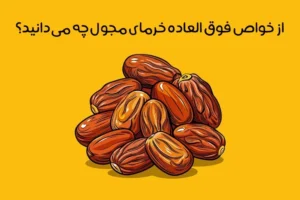 خواص خرمای مجول: 15 خاصیت معجزه آسا خرما مجول بر سلامتی + عکس