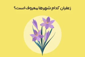 معروف ترین شهرهای تولیدکننده زعفران ایران: زعفران کدام شهر معروف است؟