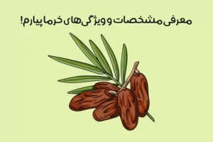 خواص خرمای پیارم: 11 خاصیت جادویی خرما پیارم + ارزش غذایی