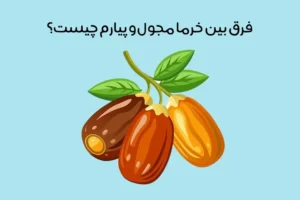 تفاوت خرما مجول و پیارم: 11 نکته مهم برای مقایسه + شباهت‌ها!