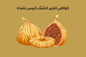 خواص انجیر خشک خیس شده: 21 فایده طلایی برای سلامتی + نحوه خیس کردن!