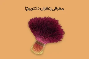 زعفران دخترپیچ چیست: مشخصات و ویژگی‌ها + علت نامگذاری!