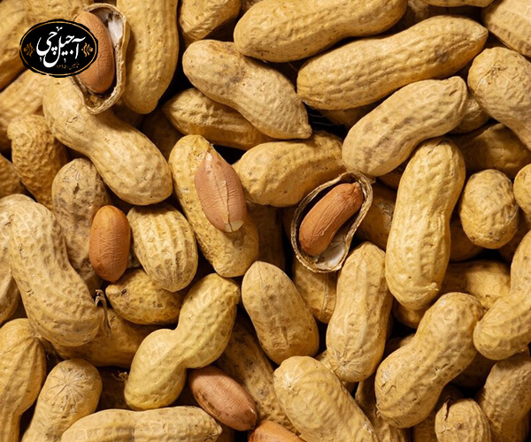 بادام زمینی نفخ دارد