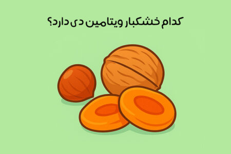 خشکبار حاوی ویتامین دی: معرفی 10 خشکبار برتر + اهمیت مصرف!