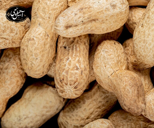 خواص بادام زمینی در بهبود باروری آقایان