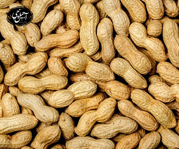 خواص بادام زمینی در پیشگیری از سنگ کیسه صفرا مردان