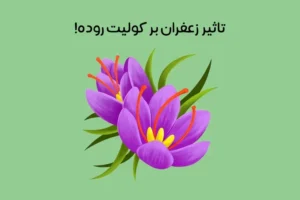 ارتباط زعفران و کولیت روده چیست: اثر جادویی بر بهبود + درمان!