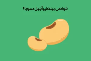 خواص سویا آجیلی: 20 فایده شگفت انگیز آجیل سویا + مضرات