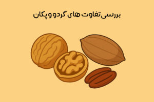 تفاوت پکان و گردو: از ظاهر تا ارزش غذایی + کدام بهتر است؟
