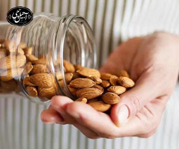 فواید بادام برای بارداری