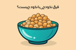 فرق نخودچی با نخود چیست: مقایسه 6 تفاوت نخود با نخود چی + عکس