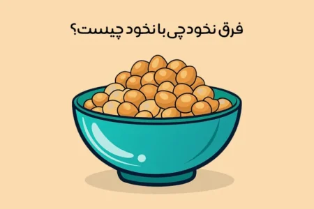 فرق نخودچی با نخود چیست: مقایسه 6 تفاوت نخود با نخود چی + عکس