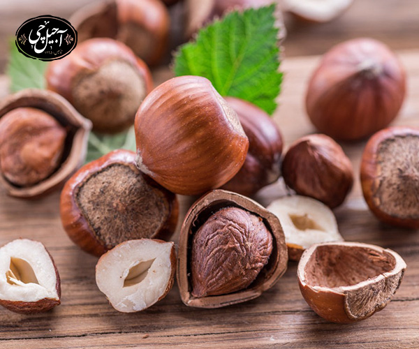 مزایا مصرف فندق در رژیم