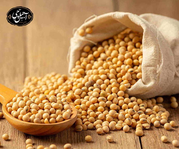 معرفی خواص بی نظیر دانه سویا