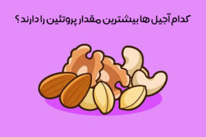 آجیل پروتئین دار: معرفی 14 آجیل پروتئینی + جدول مقایسه