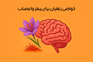 خواص زعفران برای مغز و اعصاب: 15 خاصیت شگفت آور + نکات طلایی