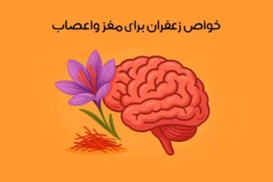 خواص زعفران برای مغز و اعصاب: 15 اثر شگفت آور + نکات طلایی!