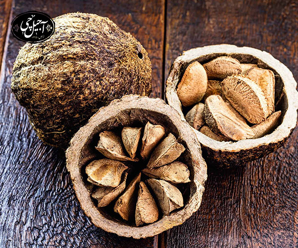 فواید فندق برزیلی برای کاهش چربی بدن