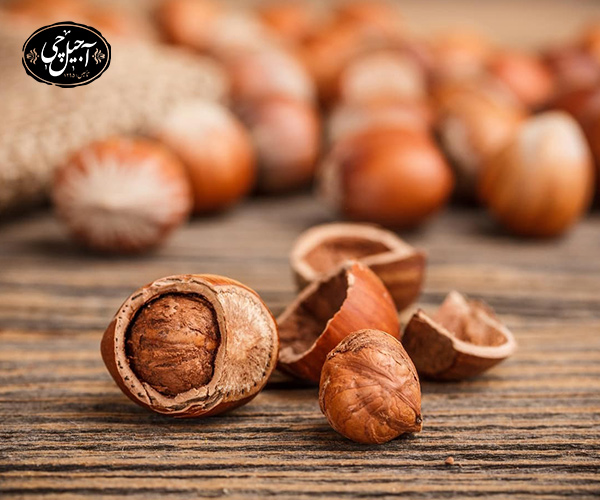 فواید فندق برای کبد چرب